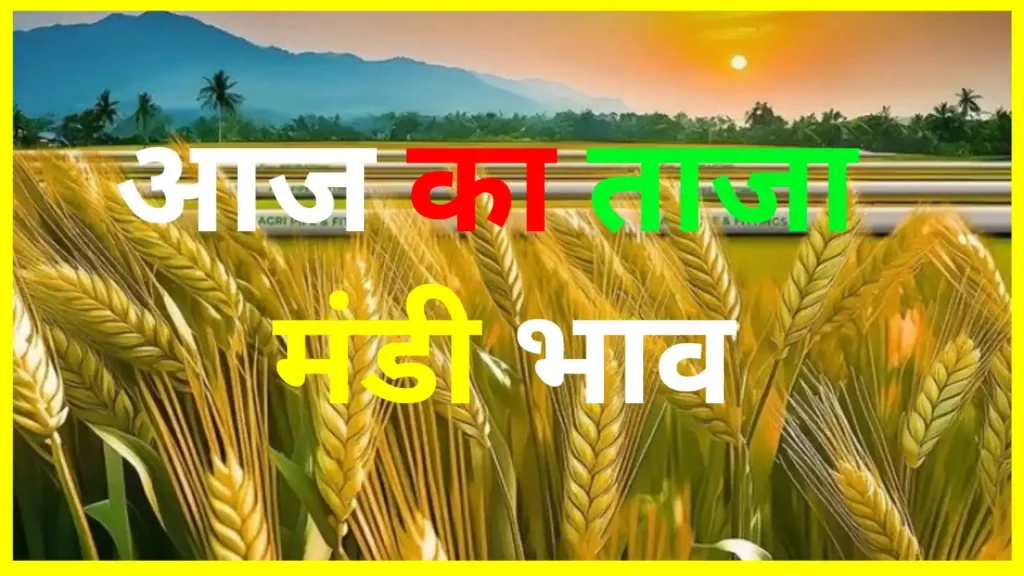 Indore Mandi latest rates after seeing rise in prices of wheat and soybean