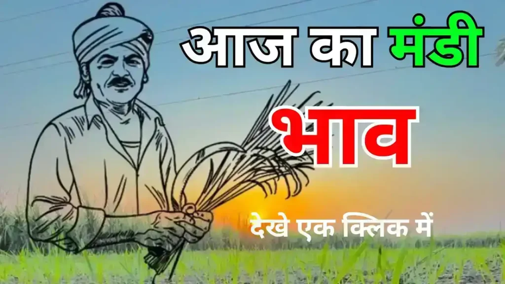 Wheat and Soybean Latest Indore Mandi Rate of 1 July 2025